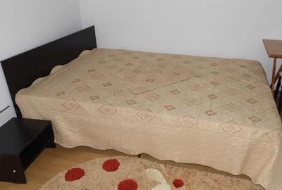 Apartament 2 camere decomandat Pacurari - Moara de Foc 160404 - 4