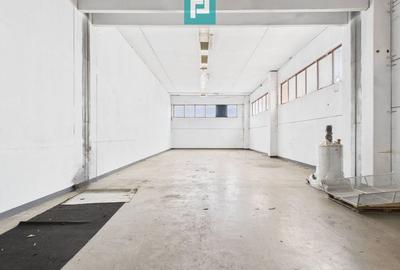 Hală de producție, cu birouri și teren, în Sebiș - 3