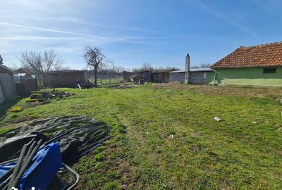 Casă cu 2 camere decomandat cu Teren 1230 Mp în Bocsig - 16