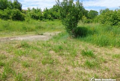 Manastur, Groapa Mosului, teren 1464 mp, intravilan, PUD + AC in lucru - 2