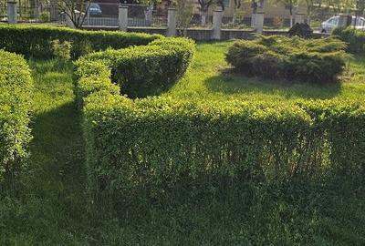 Casă cu 5 camere cu Teren 2763 Mp în Băița - 17