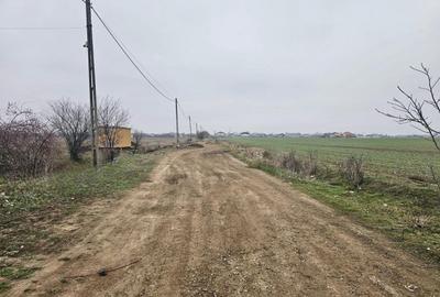 De vanzare loturi de la 500 mp in Magurele Strada Castanilor - 2
