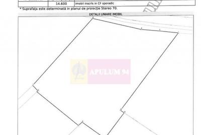 Vanzare teren intravilan agricol in zona Mihailesti, Giurgiu - 3