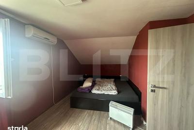 Casă cu 10 camere cu Teren 2626 Mp în Terebești - 4