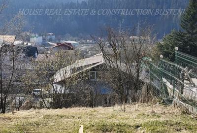 Teren Construcții intravilan de 439 mp, în Zamora - 2