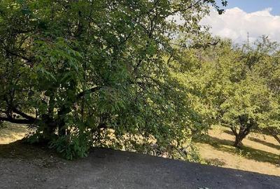 Casă cu Teren 3654 Mp în Piatra - 1