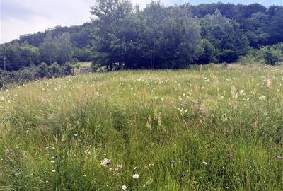 Teren intravilan de 1762 mp, în Someșu Rece - 9