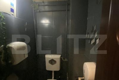 Cladire comerciala, 377 mp, zona Bulevardul Gheorghe Chitu - 1