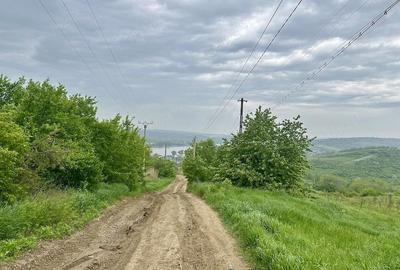 Teren de 5100 mp, în Aroneanu - 8