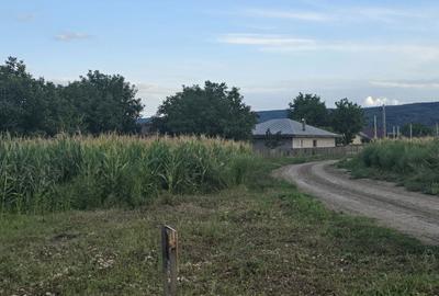 Spațiu comercial, în Dancu - 3