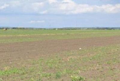 Teren de 5000 mp, în Cocorăștii Colț - 5