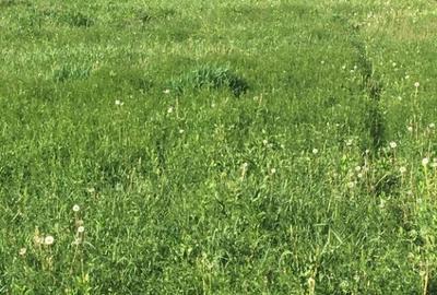 Investeste inteligent! Teren 23 ari Hideaga, Maramures! - 1