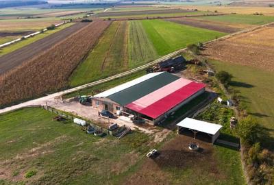 Teren de 18000 mp, în Rotbav - 5