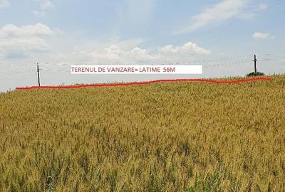 Teren de 5900 mp, în Curcani - 4