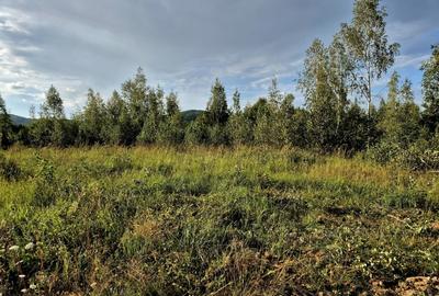 Vand teren in zona Fagaras, ideal refugiu vacanta/Comision 0 % - 2