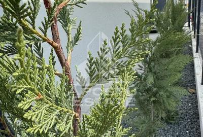 Casă cu Teren 240 Mp în Giarmata - 6