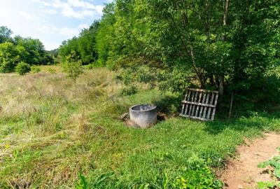 Casă individuală cu 3 camere cu Teren 9995 Mp în Ormindea - 44