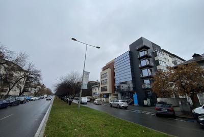 Alexandru Constantinescu 6 - comision 0%, reprezentam proprietarul! - 2