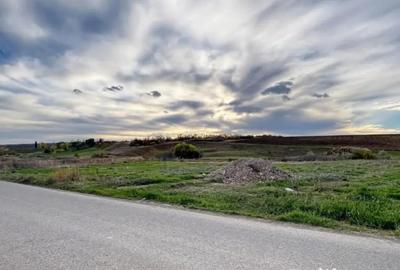 Teren de 1800 mp, în Lețcani - 1