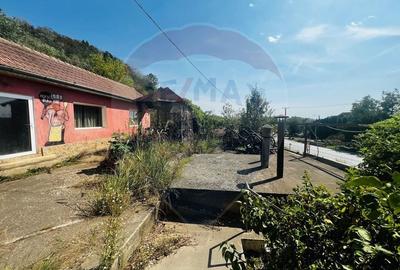 Casă P+E+M cu spălătorie auto și restaurant la DN 7 în LIPOVA - 6