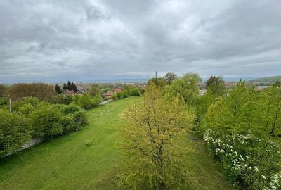 Oportunitate investitie - Covasna 21000mp intravilan - 10