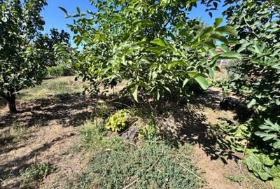 Casa individuala P+1+M amplasata pe un teren de 1612 mp. - 56