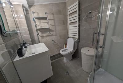 Piața Victoriei  SpringTime/Metrou, Apartament 2 Camere , Parcare ,Centrala . - 5