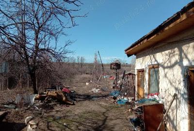 Casă cu Teren 1920 Mp în Central - 6