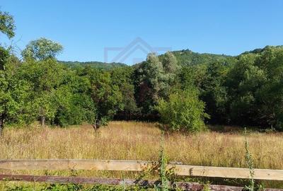 TEREN INTRAVILAN ZĂVOI\ZONA VALEA BISTREI, JUD.C-S - 4