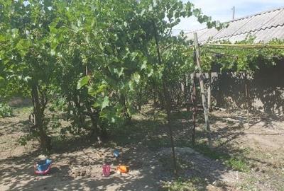 Casă cu 4 camere în Central - 1