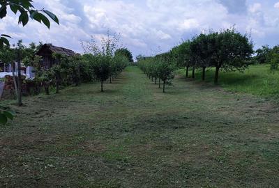 Teren de 1400 mp, în Jidvei - 3