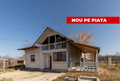 Casă individuală cu 3 camere în Bradu