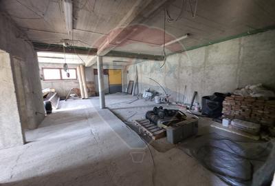 Casă cu 6 camere cu Teren 1680 Mp în Alexandru cel Bun - 37