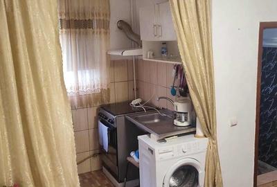 Aleea Pantelimon Aleea Pantelimon - 7