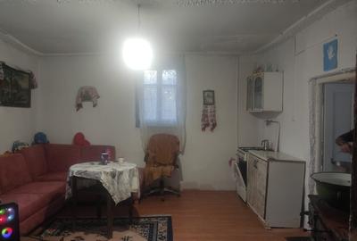 Casă cu 3 camere în Ohaba Română - 1