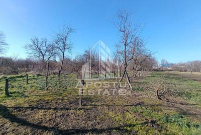 Casă cu 5 camere cu Teren 2158 Mp în Freidorf - 4