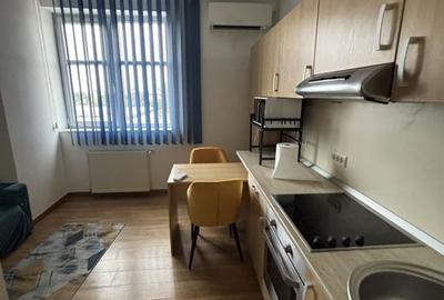 Apartament 1 cameră generos zona Complex - 12