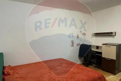 Apartament cu 1 camera de inchiriat in zona Brazda lui Novac - 9