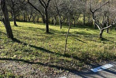 Teren de 3300 mp, în Coșbuc - 4