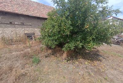 Teren 879 mp, fron 15, zona RrEt-ideal pentru constructie-Someseni - 2