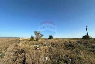 Teren agricol extravilan de 19963 mp, în Mândruloc - 4