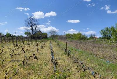 Schimb teren intravilan Filesti, 3.250 mp, cu apartament in Gala?i + diferen?a - 2