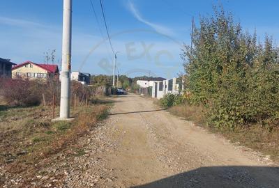 Teren Trivale - Aleea Bradului - Zona excelenta Teren Trivale - Aleea Bradului - Zona excelenta - 3