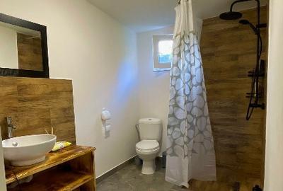 Casă cu 5 camere cu Teren 3900 Mp în Barticești - 9