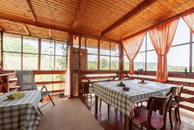 Casa rustica P+1 in zona de deal Bogati, AG - 3