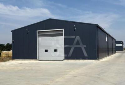 Hala de Vanzare Centura / Magurele - 3