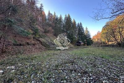 Teren 2.882 mp – oportunitate investitie - Cheile Dâmbovicioarei - 3