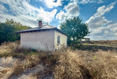 Fermă în Medgidia, zona Tortomanu - 3