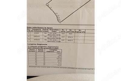 Padure de vanzare zona Comuna Draganesti sat Hatcarau - 7