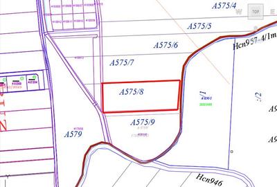 Teren Construcții extravilan de 7500 mp, în Săcălaz - 2